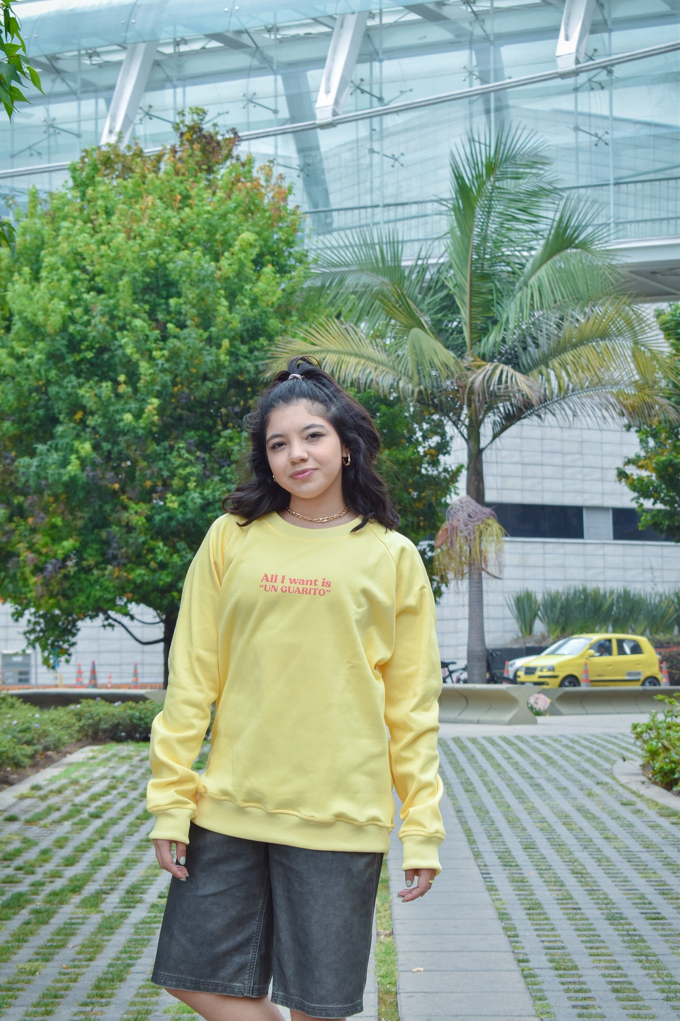 Sweater l All I Want is "UN GUARITO"